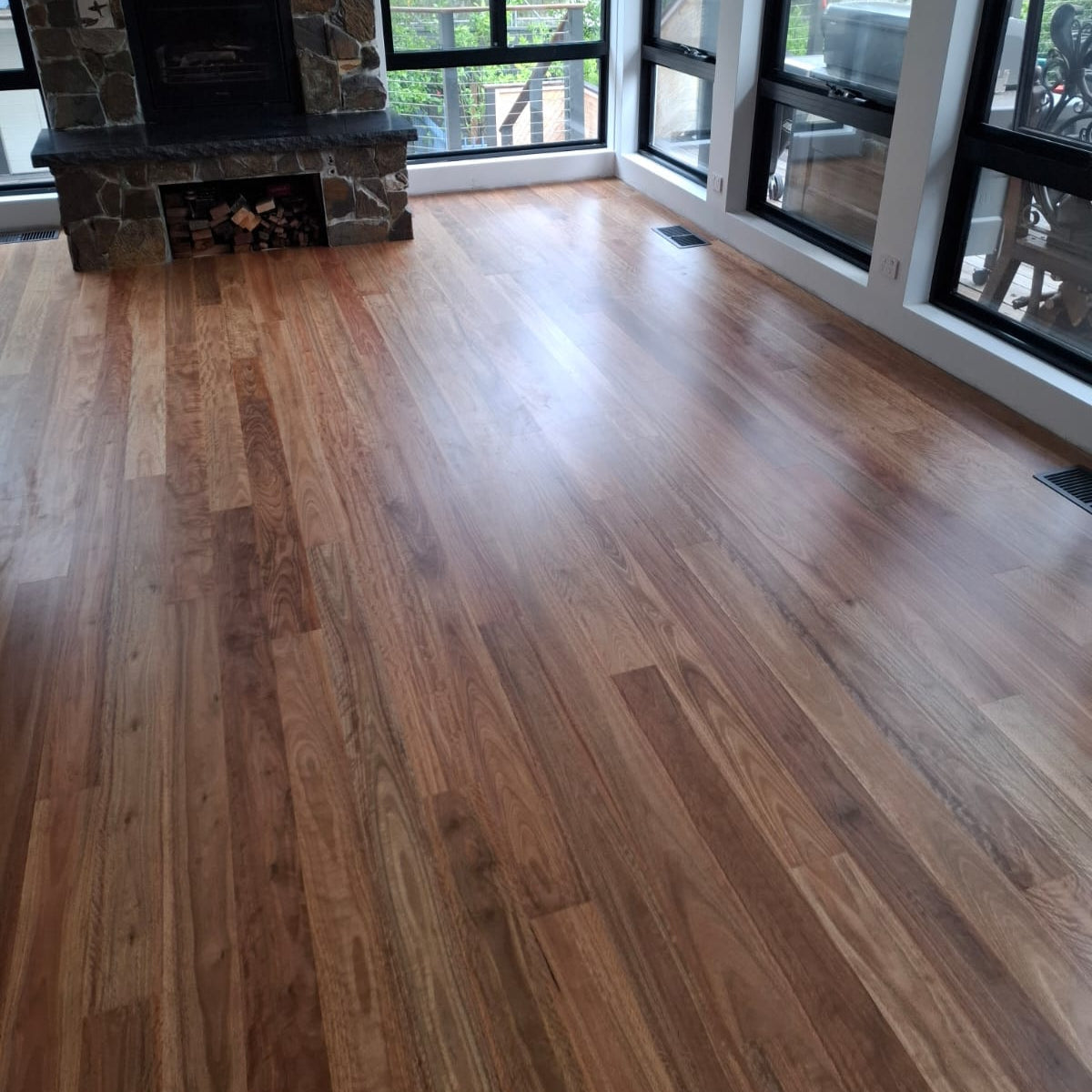 Heathmont - Pacific Spotted Gum