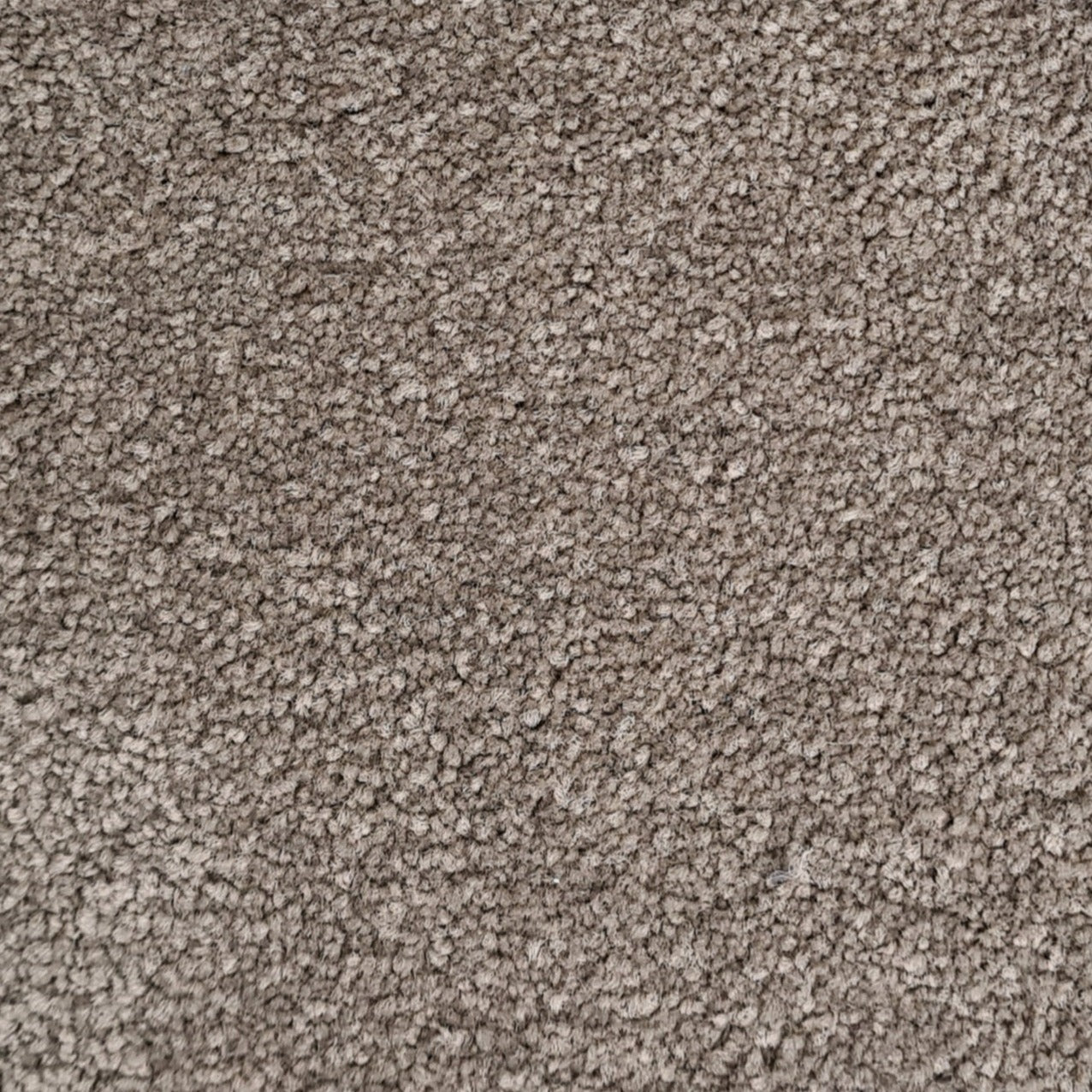 Essential Images SDN Twist