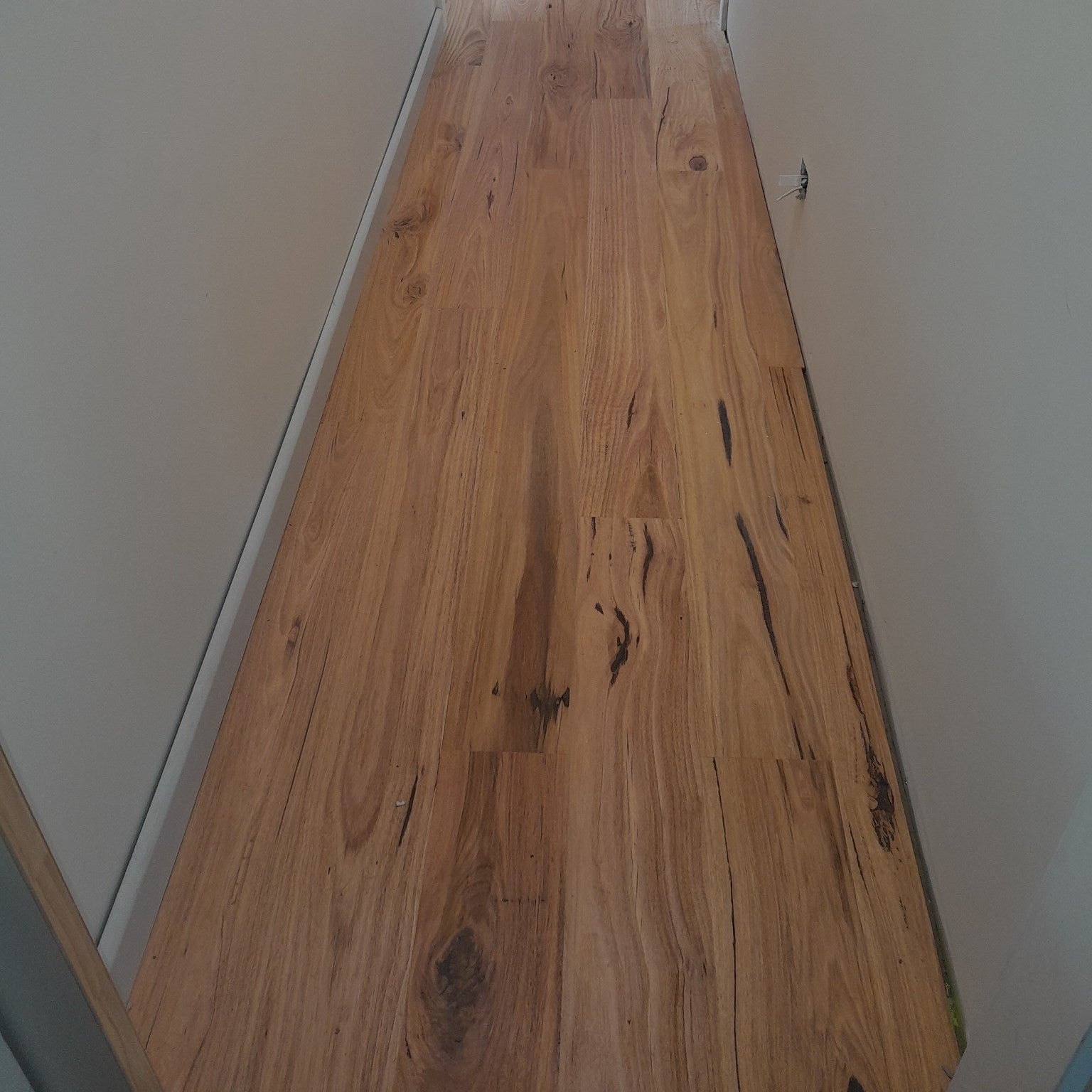 Blackbutt Brushed Matte Timber