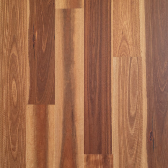Brushed Matte Spotted Gum Timber