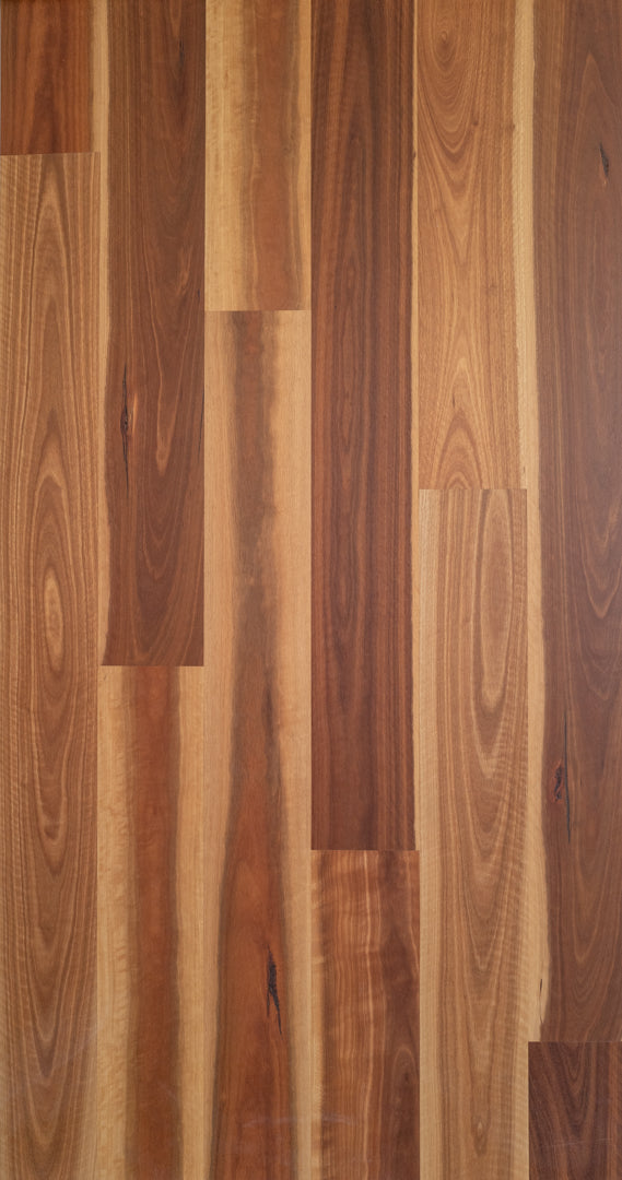 Brushed Matte Spotted Gum Timber