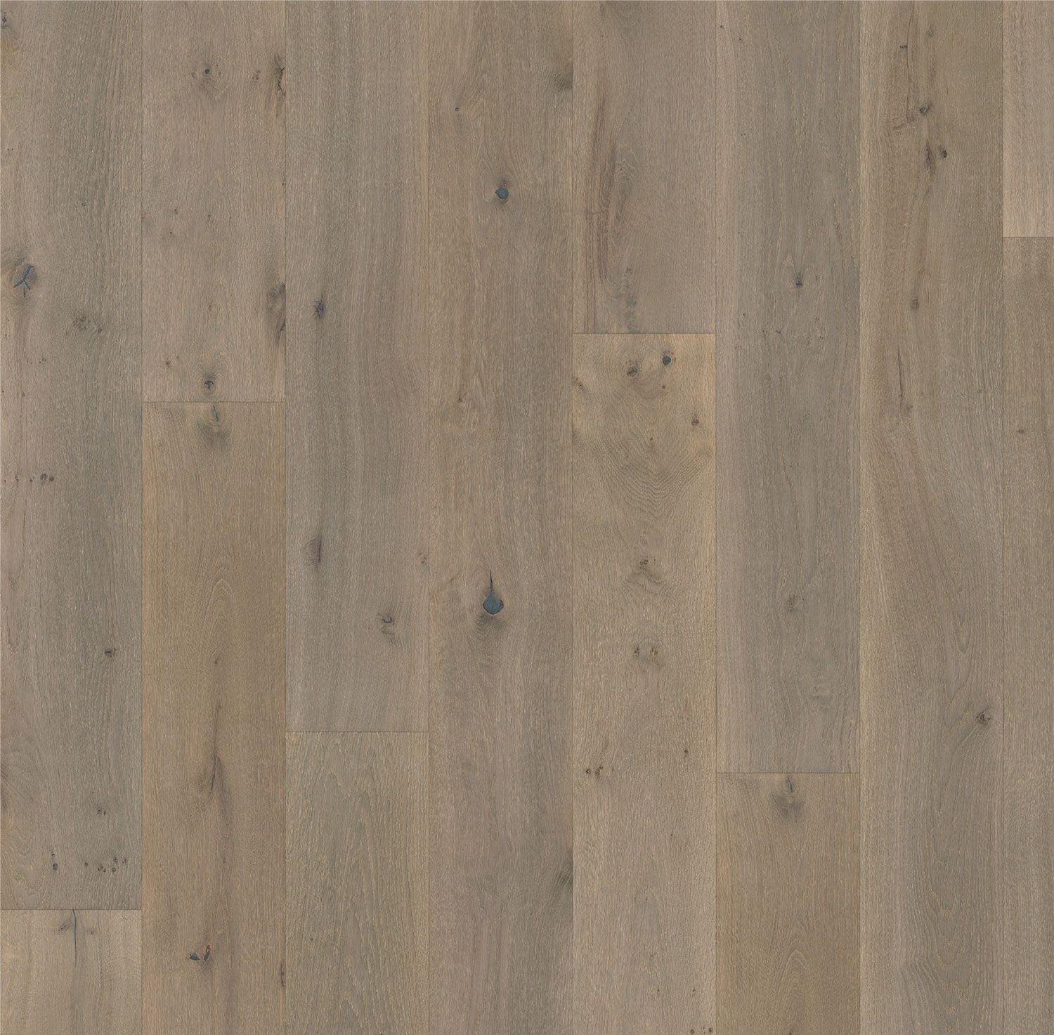 Greige 14mm European Oak Flooring