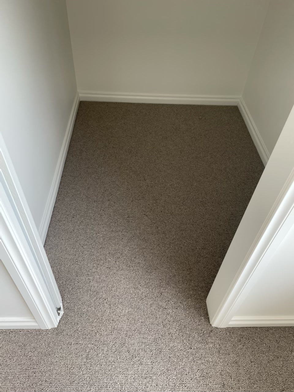 Elmview Wool Loop