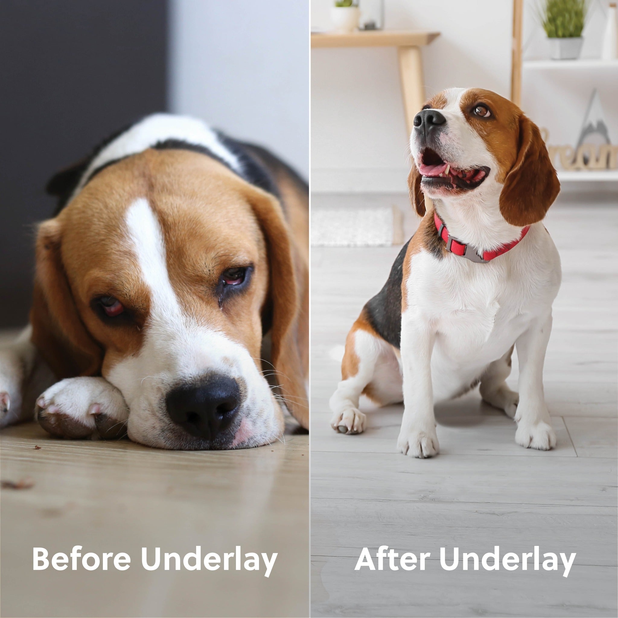 Hard Flooring Underlay