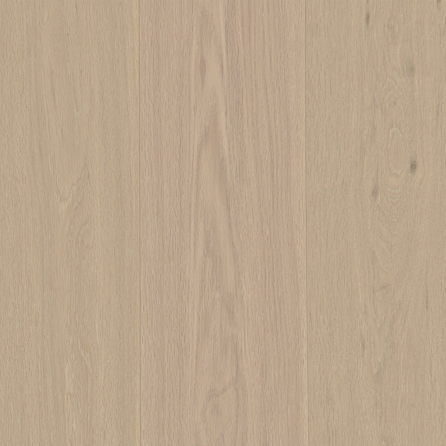 Silver Birch Oak 15mm Timber