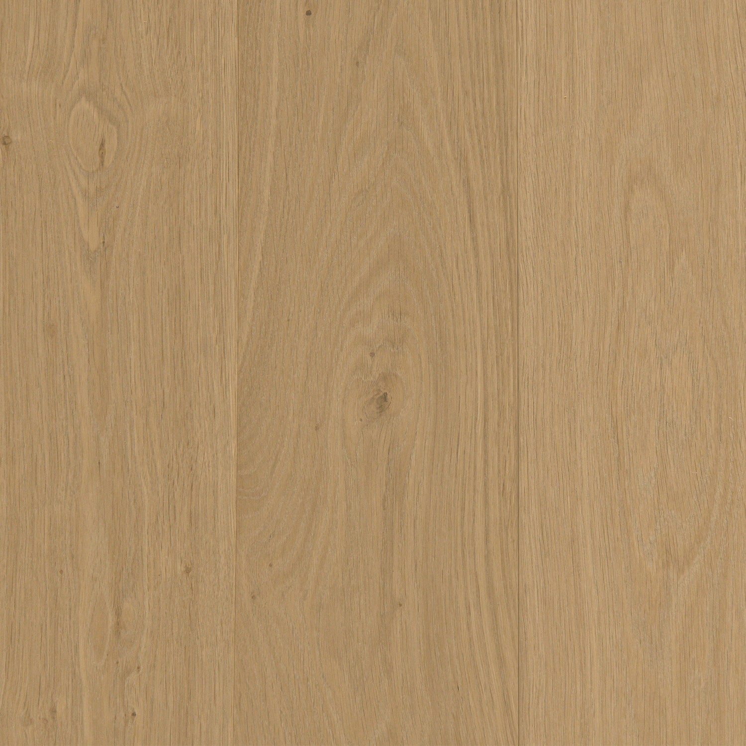 Arcane Gold 15mm European Oak