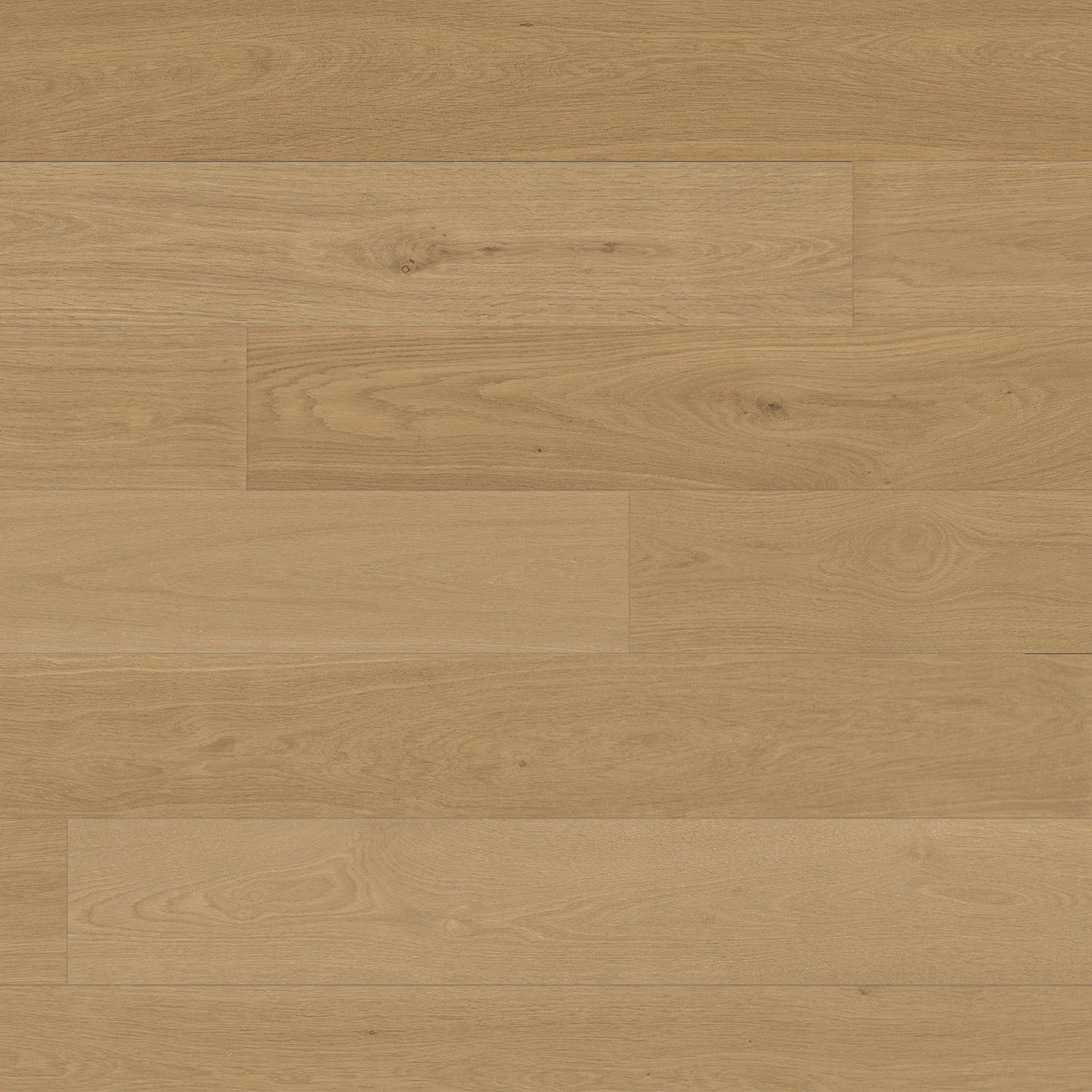Arcane Gold 15mm European Oak