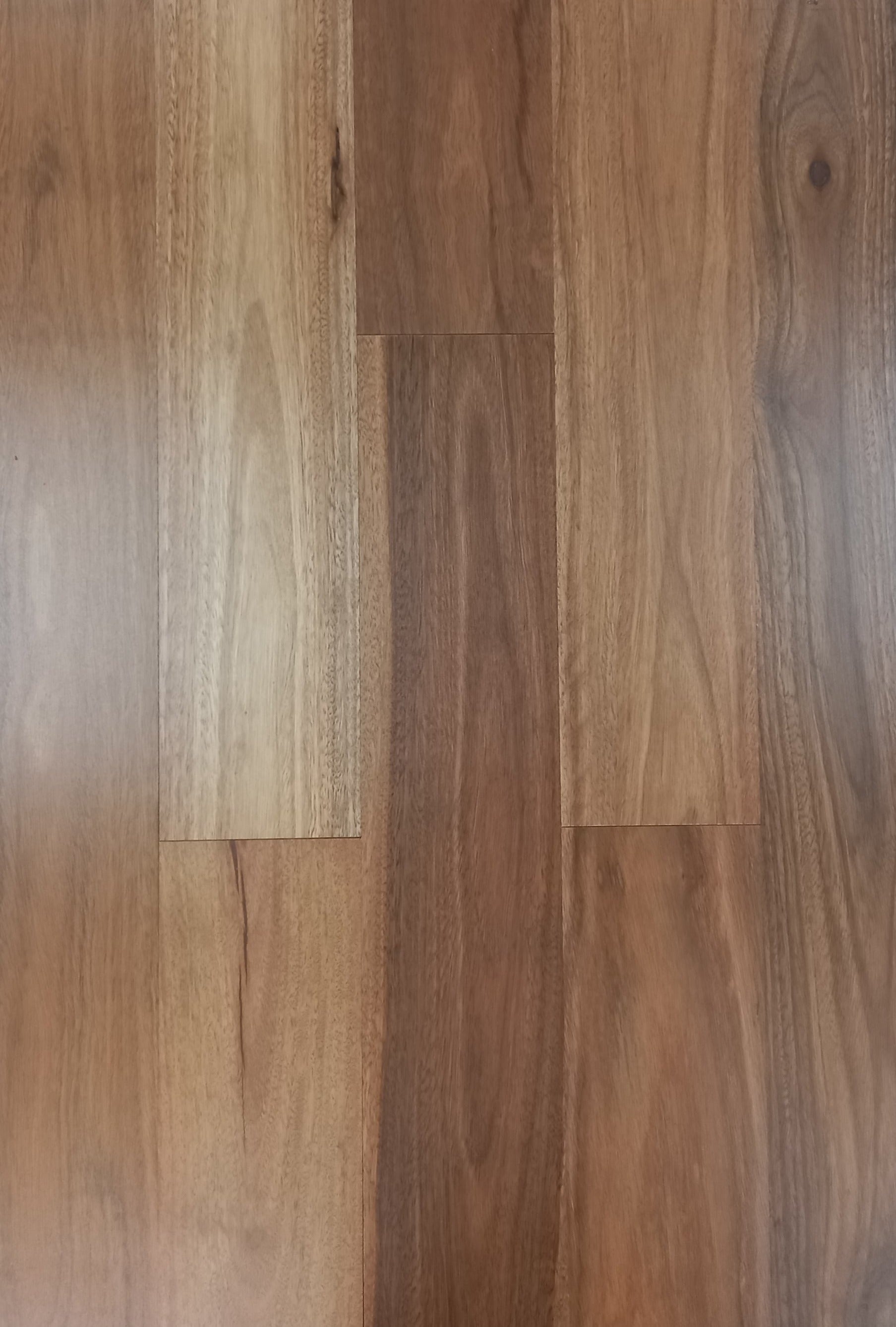 Pacific Spotted Gum Timber Flooring - $80m2