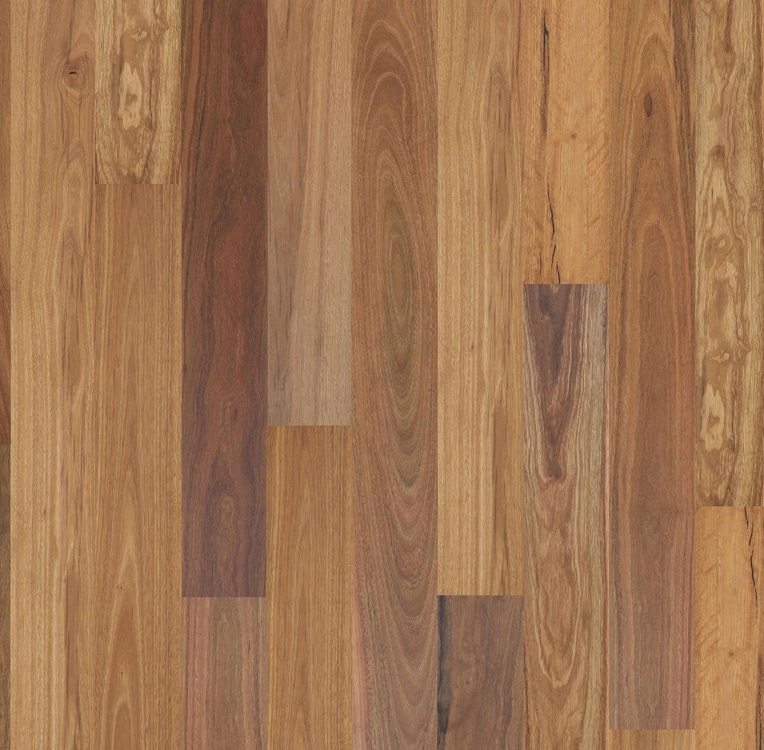 Spotted Gum Timber - Square Edge