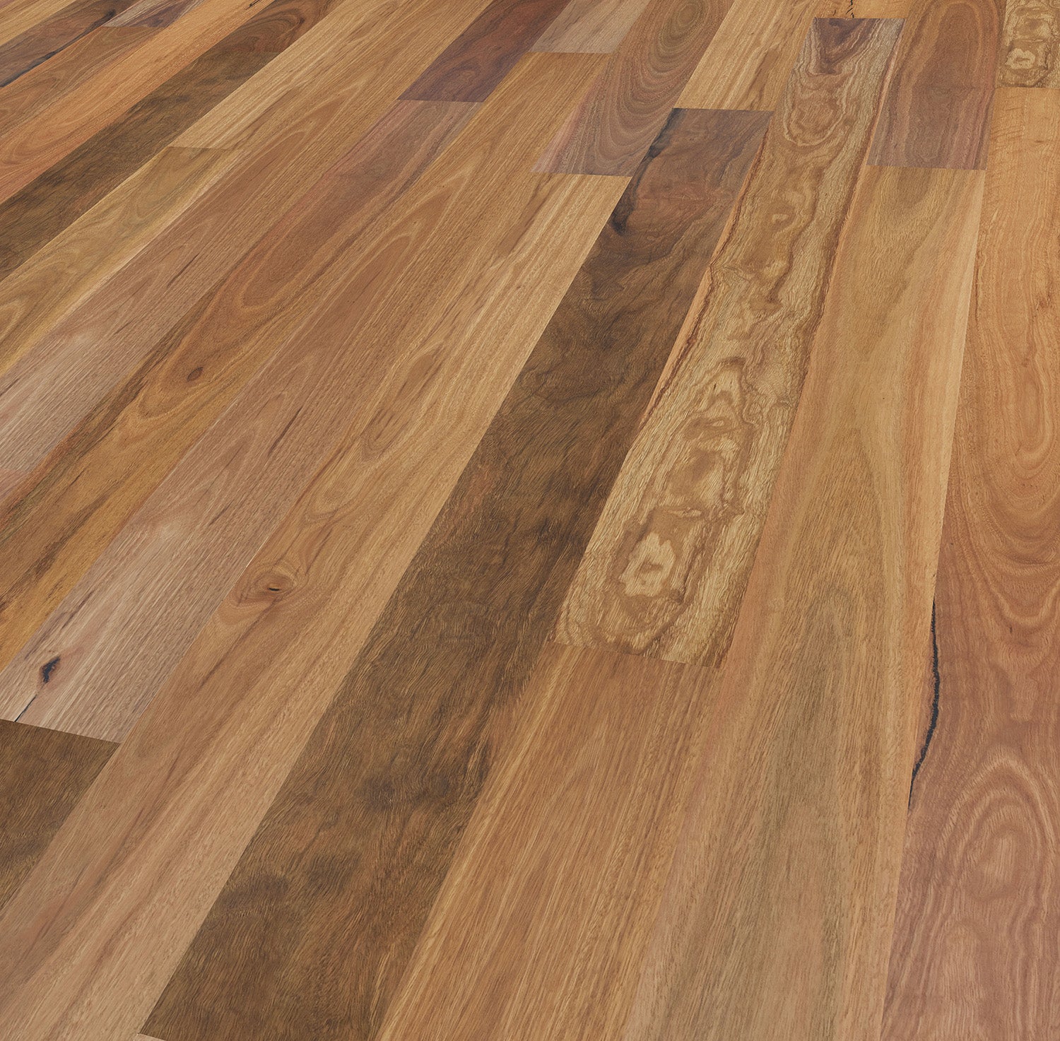 Spotted Gum Timber - Square Edge