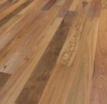 Spotted Gum Timber - Square Edge of Australian Timber
