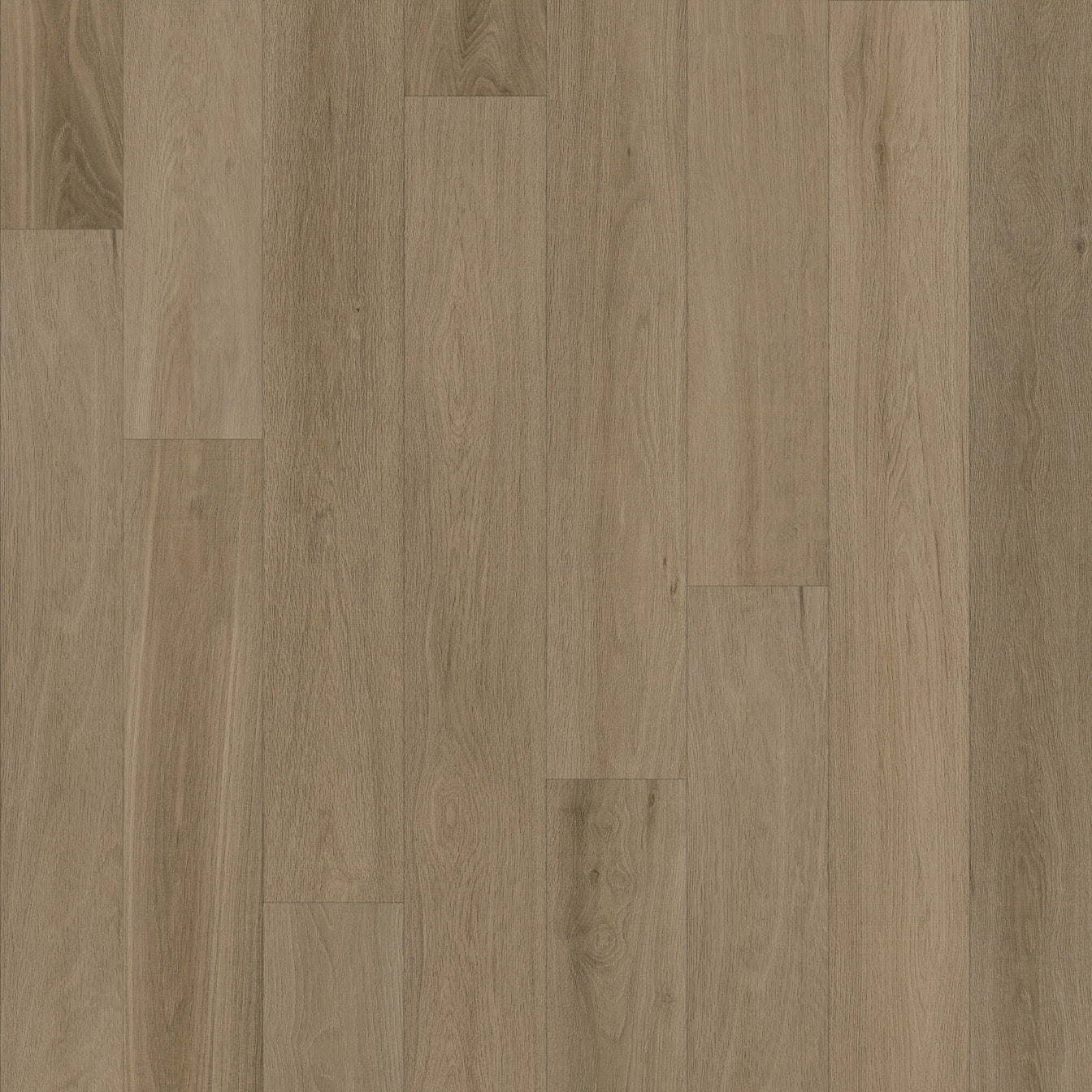 Rye 12mm Laminate Flooring $36.30m2