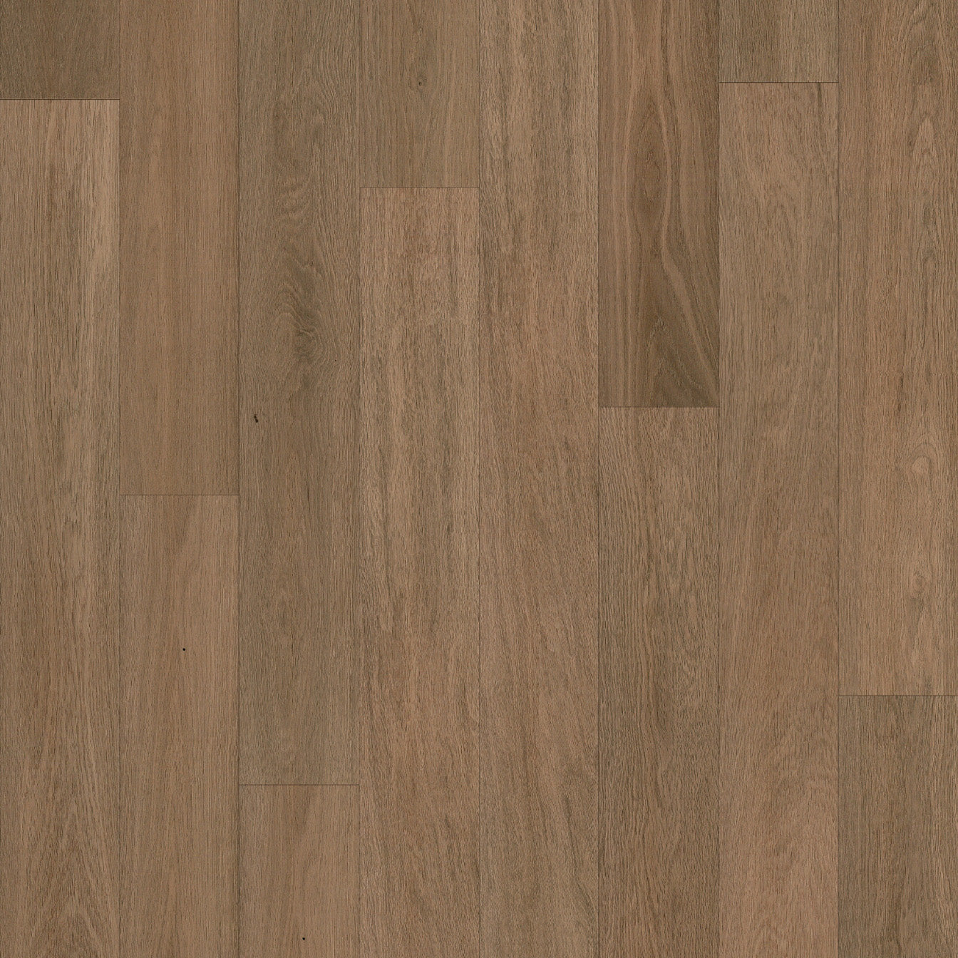Almond 12mm Laminate Flooring $36.30m2