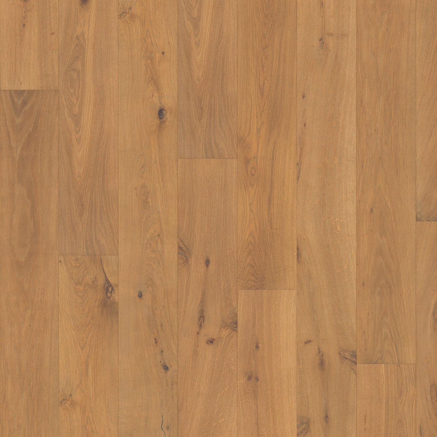 Copperwood Oak 14mm Timber Flooring