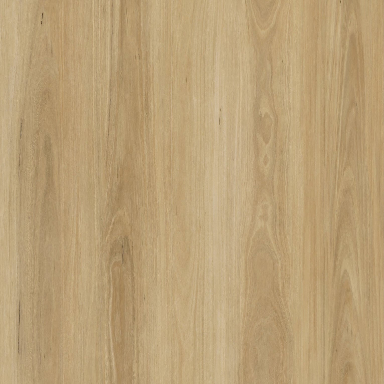 Blackbutt 10mm Hybrid Flooring