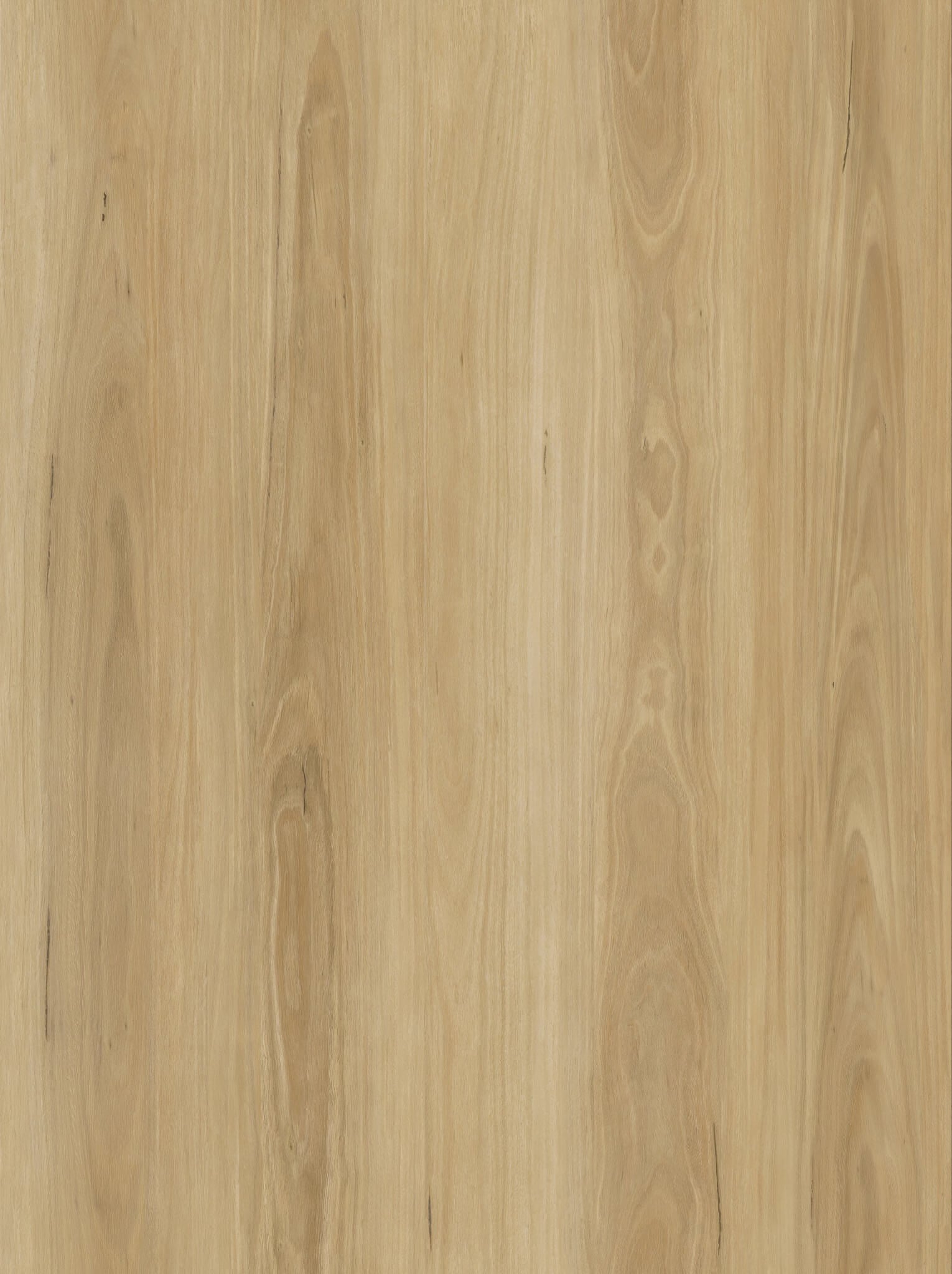 Blackbutt 10mm Hybrid Flooring
