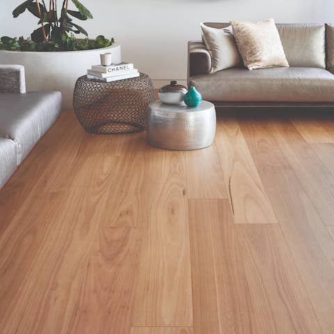 Blackbutt 8mm & 12mm Laminate