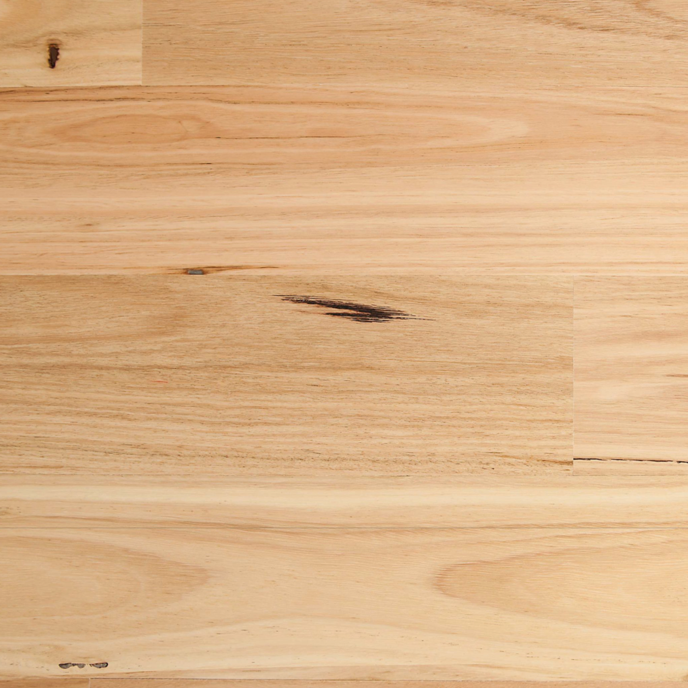 Blackbutt 180mm Timber
