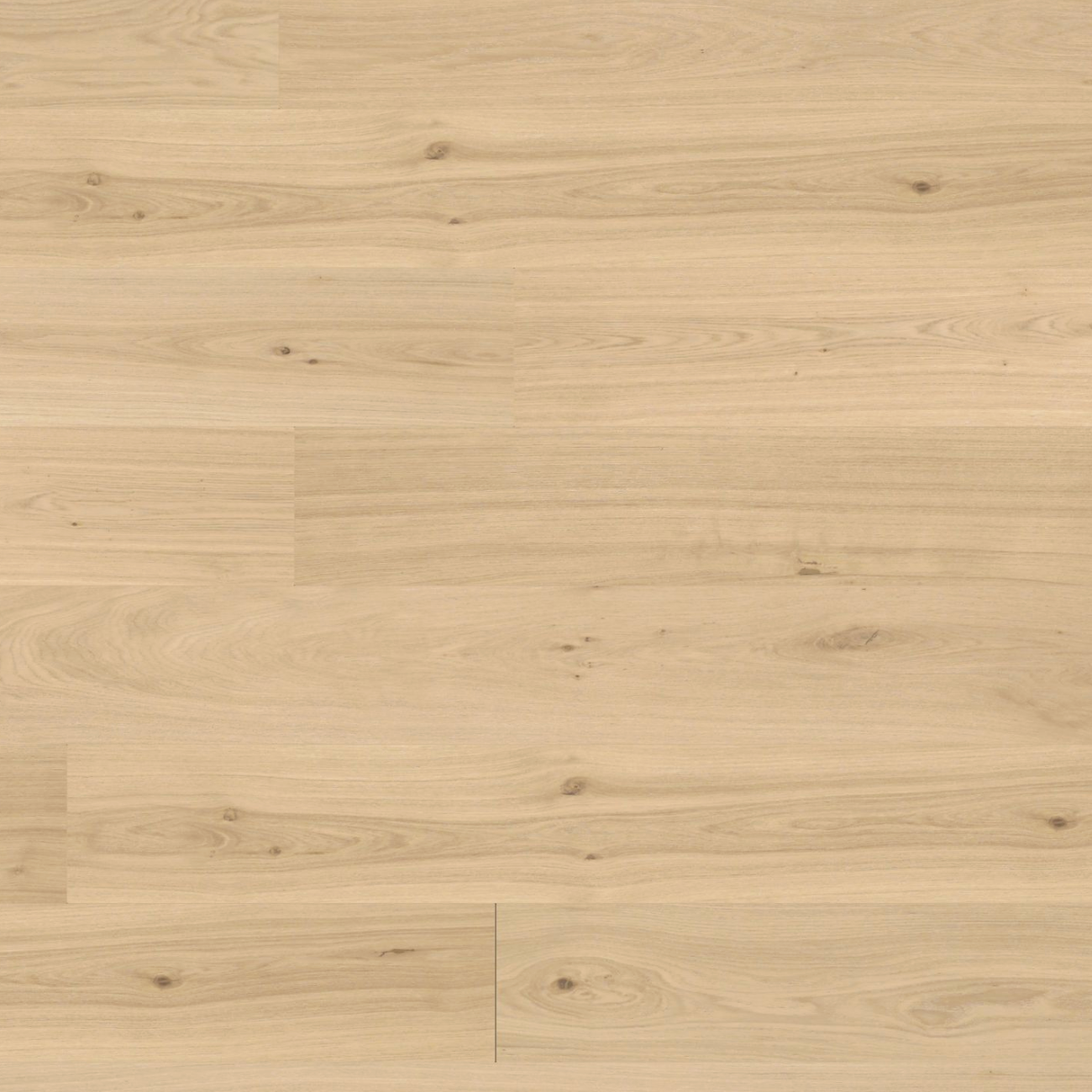 Cameo 240mm European Oak