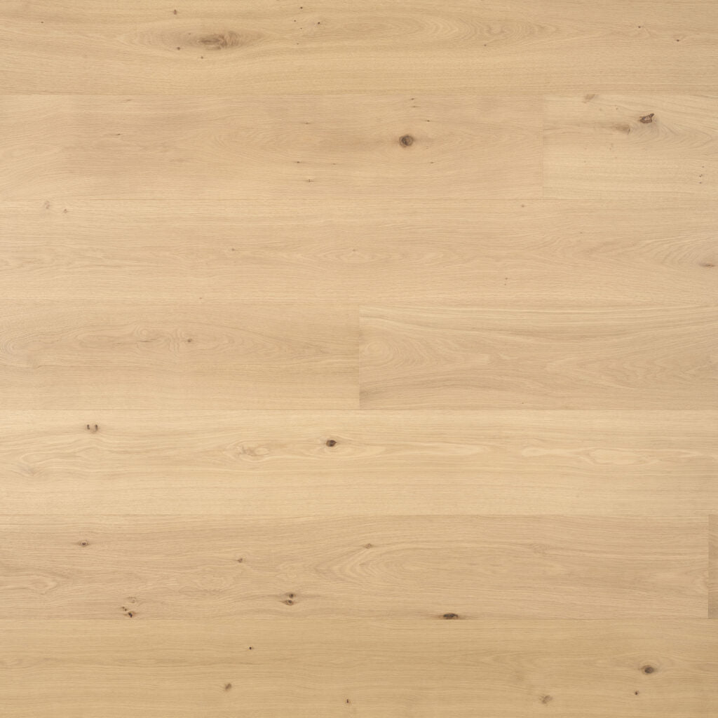 Everlasting Oak 220mm European Oak