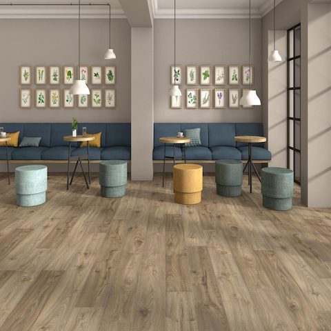 Forest 14mm Laminate Flooring