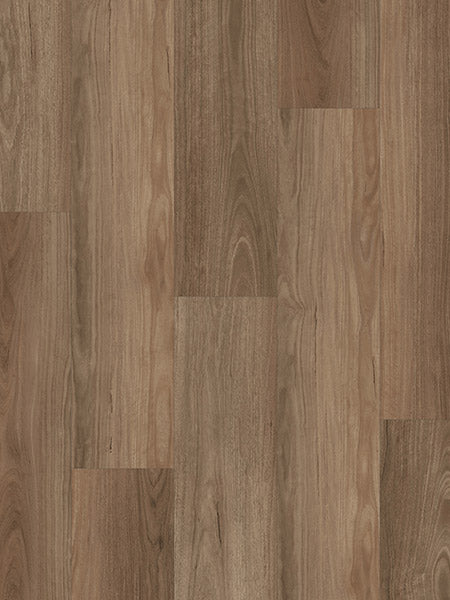 Spotted Gum 8mm Hybrid Flooring- $37.90m2