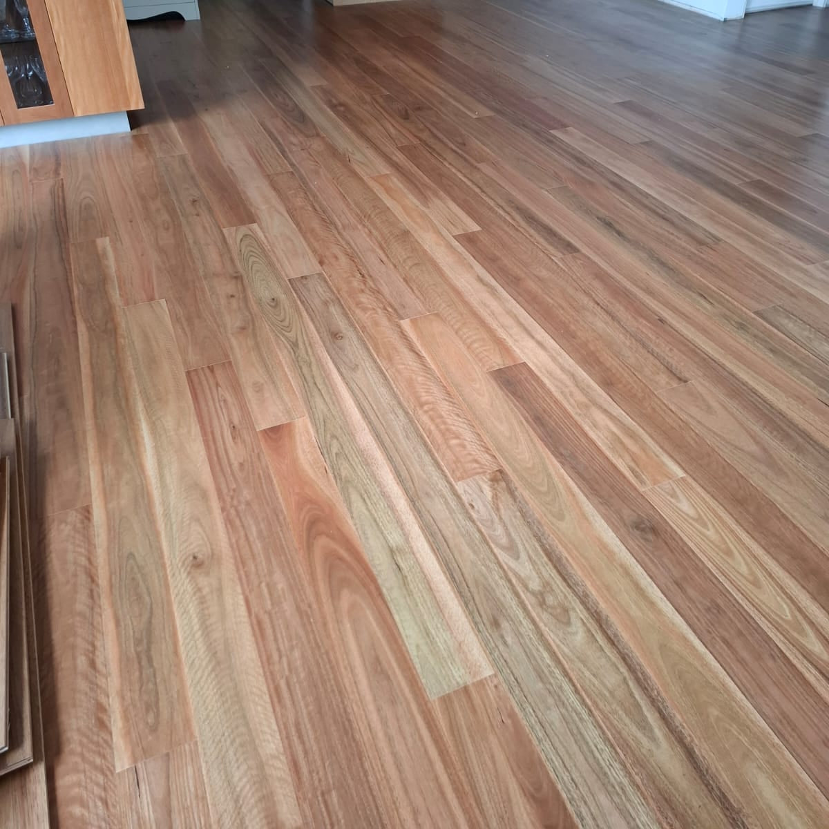 Pacific Spotted Gum Timber Flooring - $80m2
