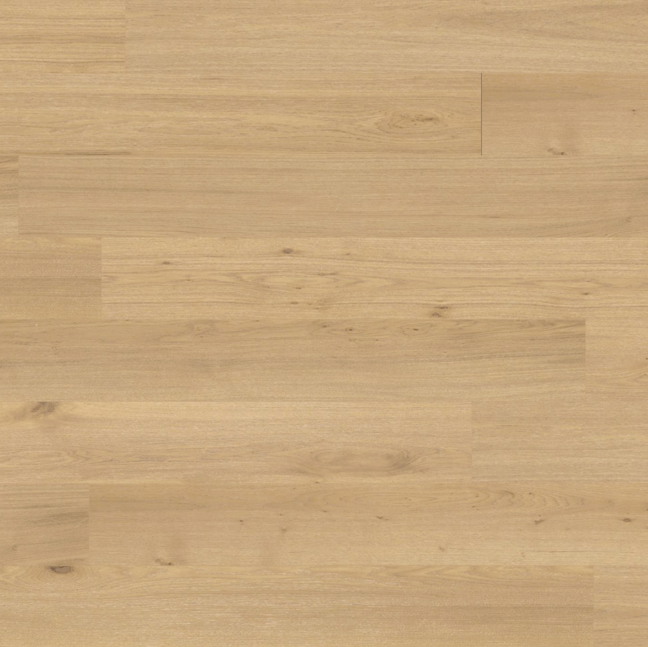 Luxor 240mm European Oak