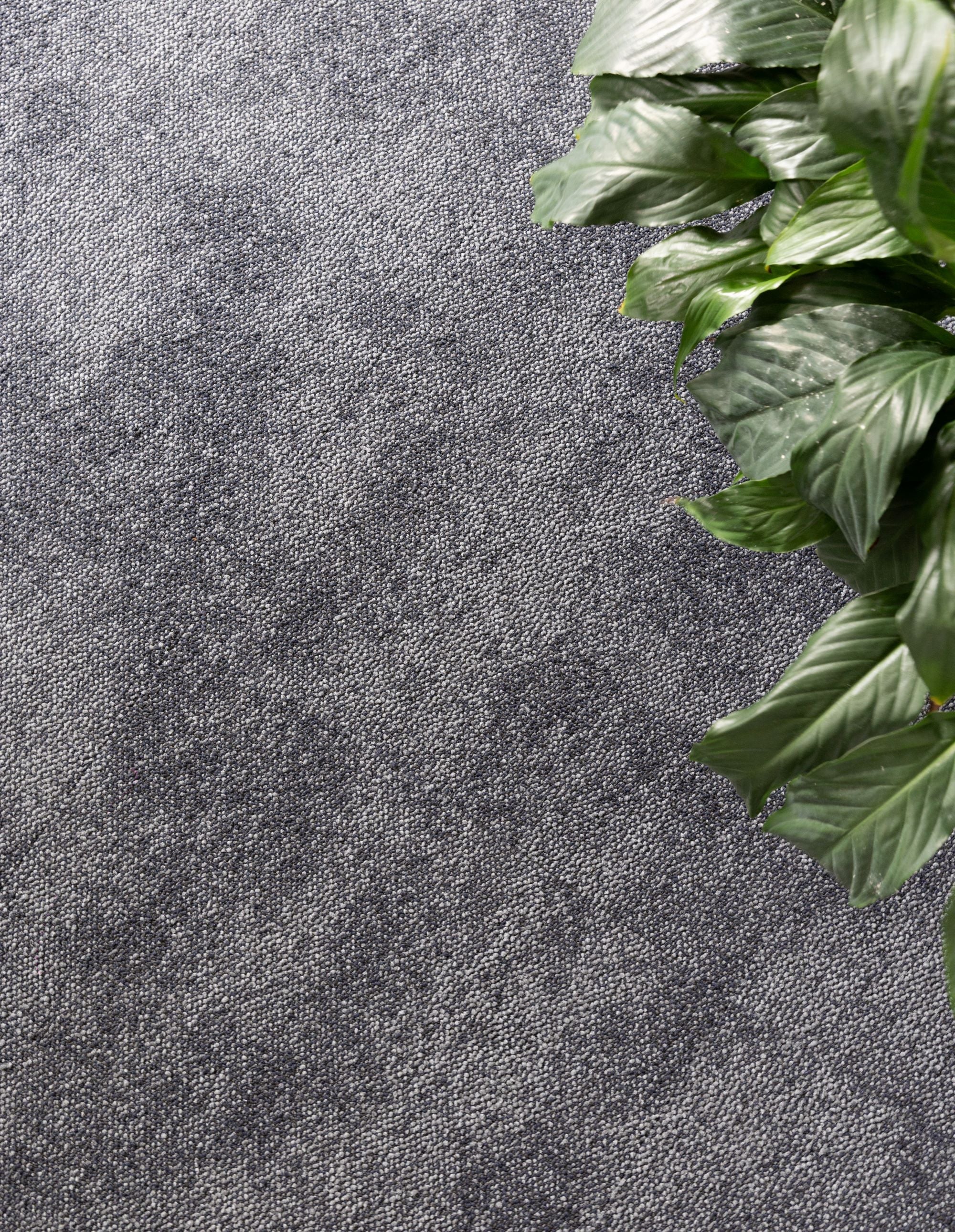 Sphere SDN Carpet Tile