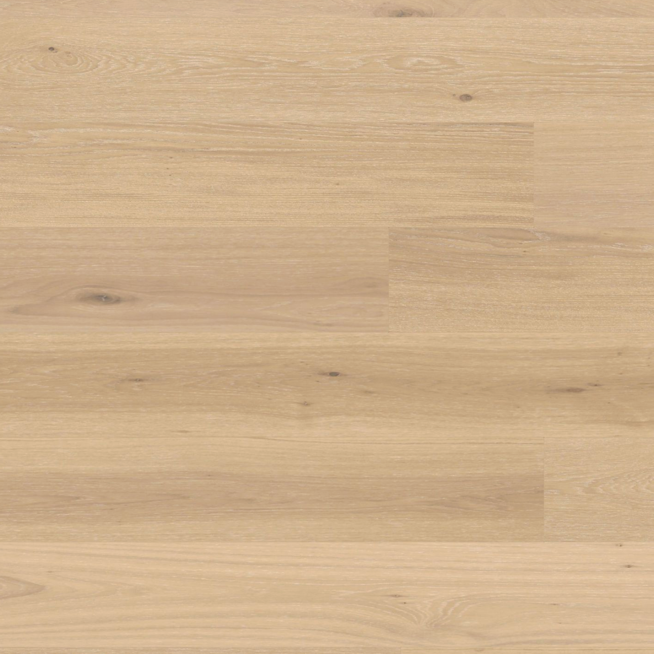 Sahara 240mm European Oak
