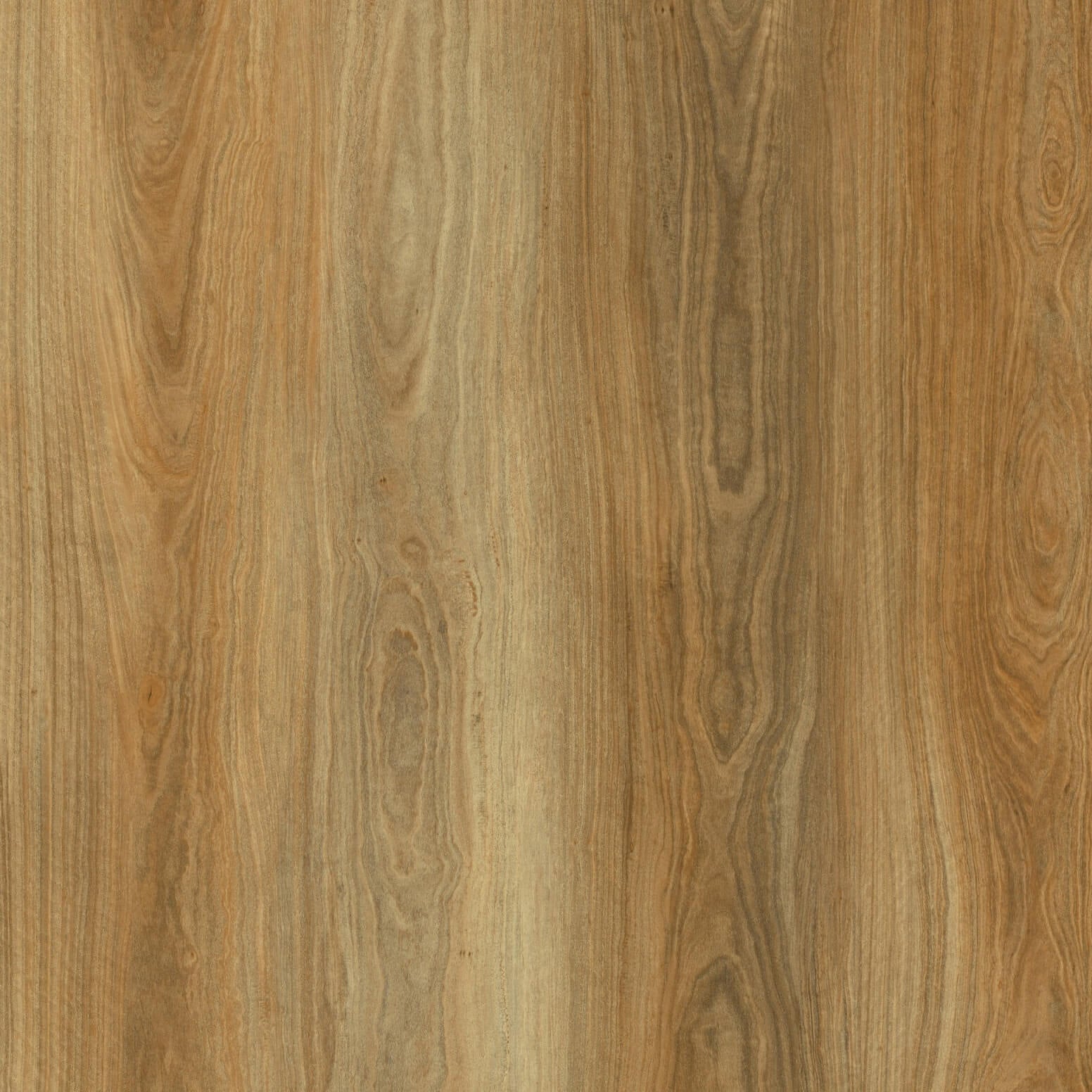 Spotted Gum 10mm Hybrid Flooring