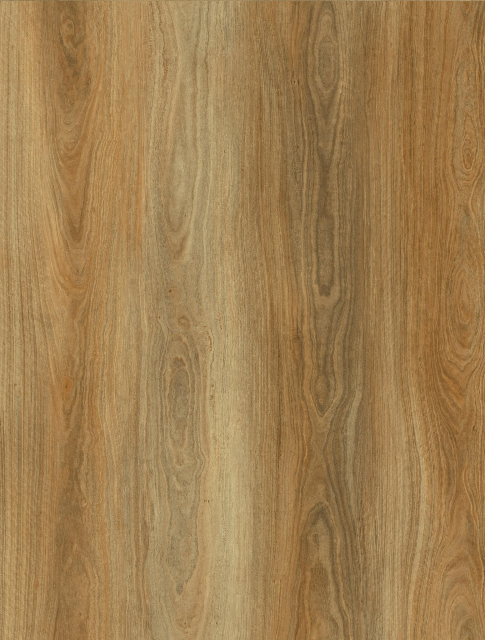 Spotted Gum 10mm Hybrid Flooring