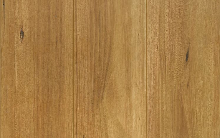 Spotted Gum 8mm Laminate Flooring $27.90m2