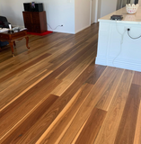 Spotted Gum 180mm Timber-$93m2 of Australian Timber