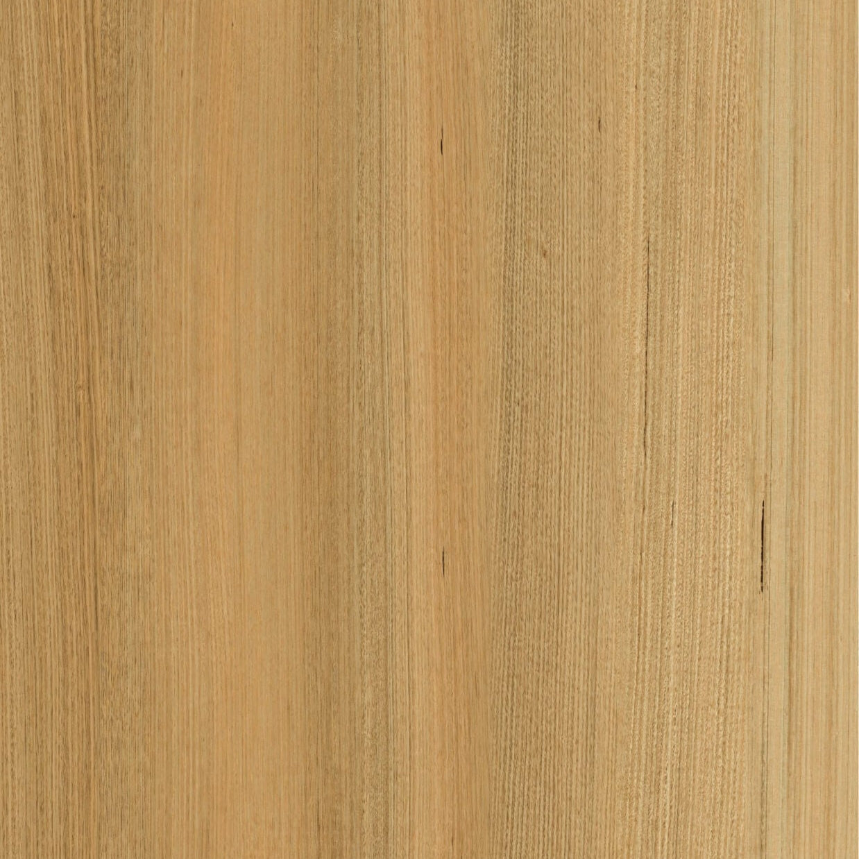 Tas Oak 10mm Hybrid Flooring