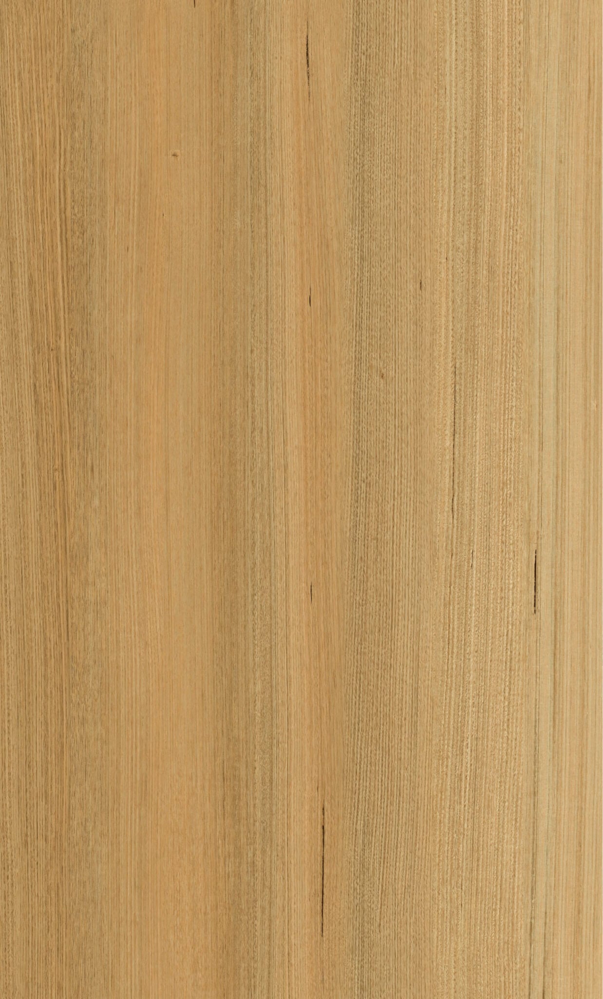Tas Oak 10mm Hybrid Flooring