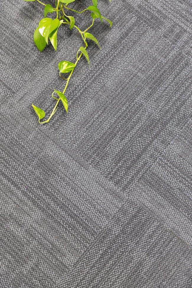 Temporal SDN Carpet Tile