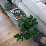 Westlake Oak 12mm Laminate Flooring of 12mm Laminate Flooring