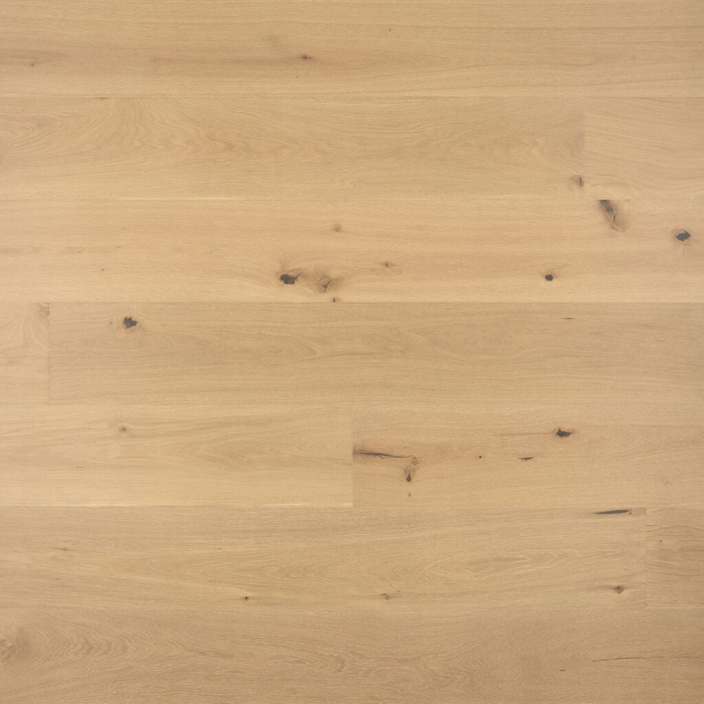 Zieria 220mm European Oak