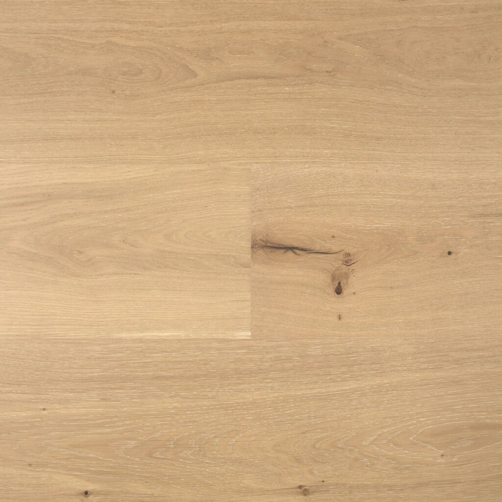 Zieria 220mm European Oak