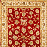 Agrabah Traditional Rug - Red 173 of AVADA - Best Sellers