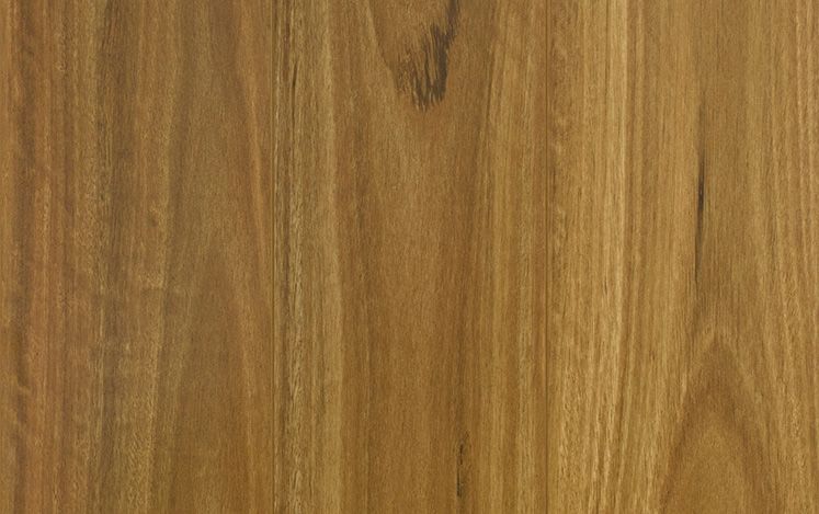 Bushland Spotted Gum 12mm Laminate Flooring