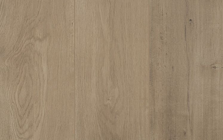 Chalice 8mm Laminate Flooring