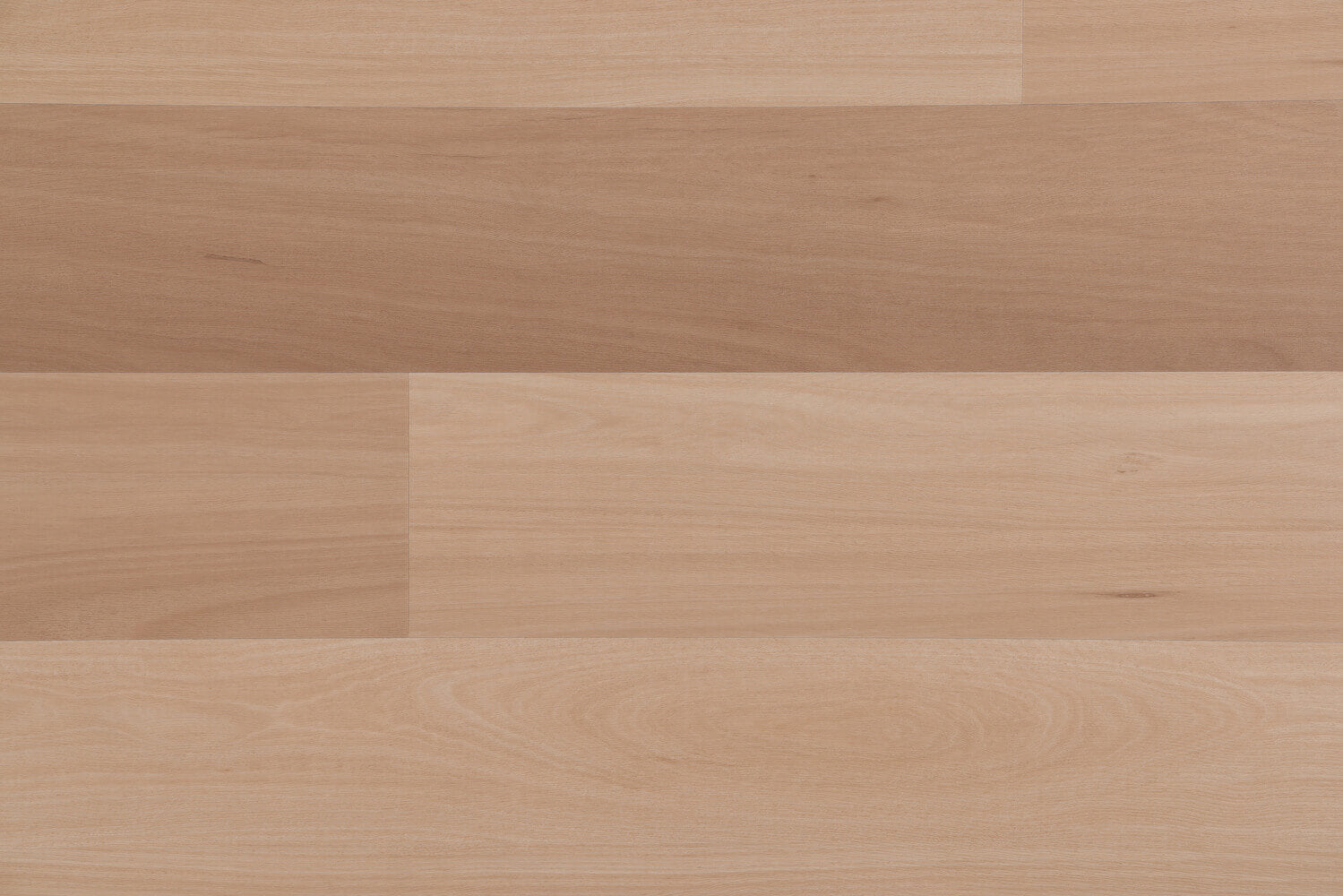 Coastal Blackbutt Luxury Vinyl Planks