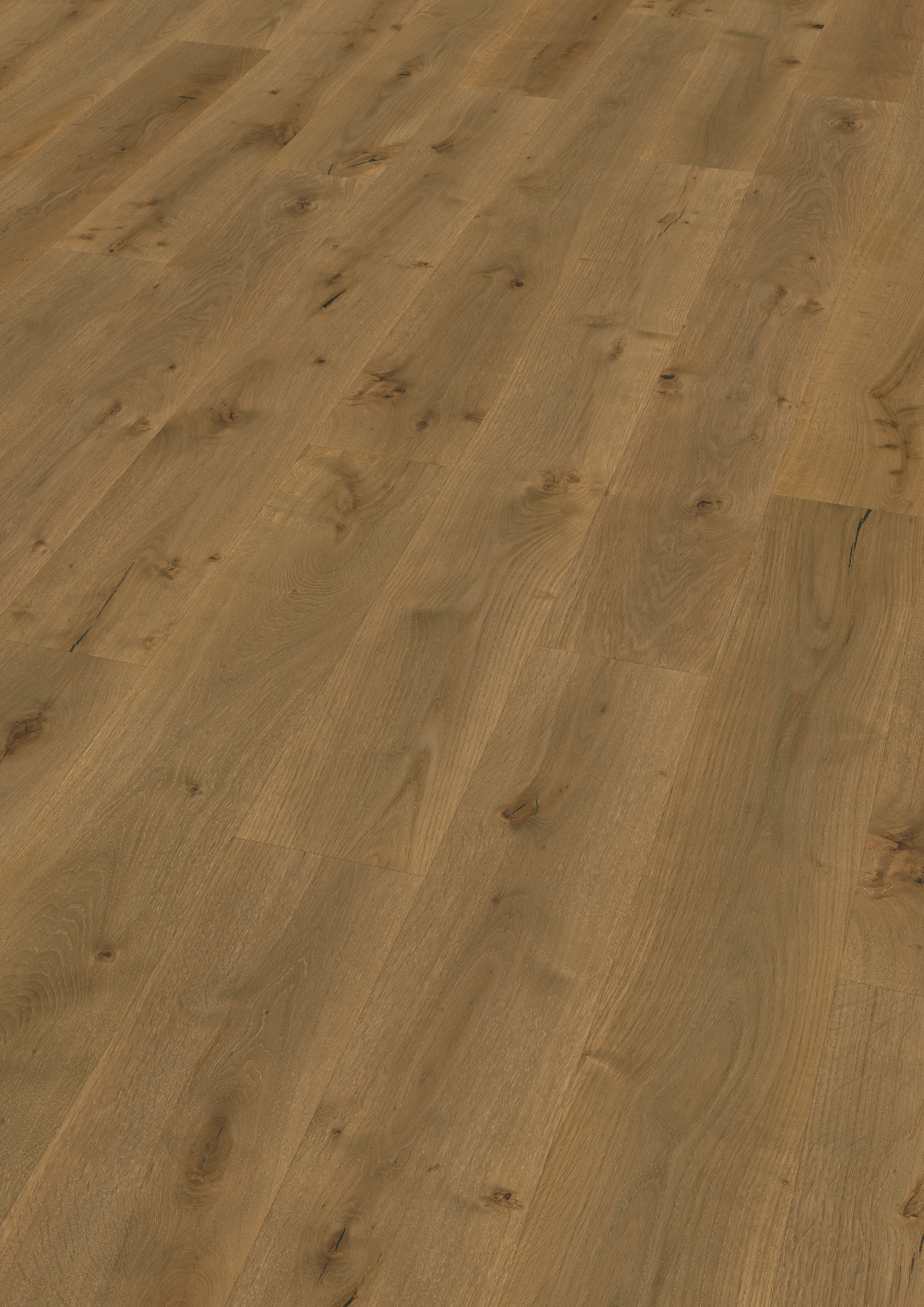 Fossil 14mm European Oak Flooring $65.45m2