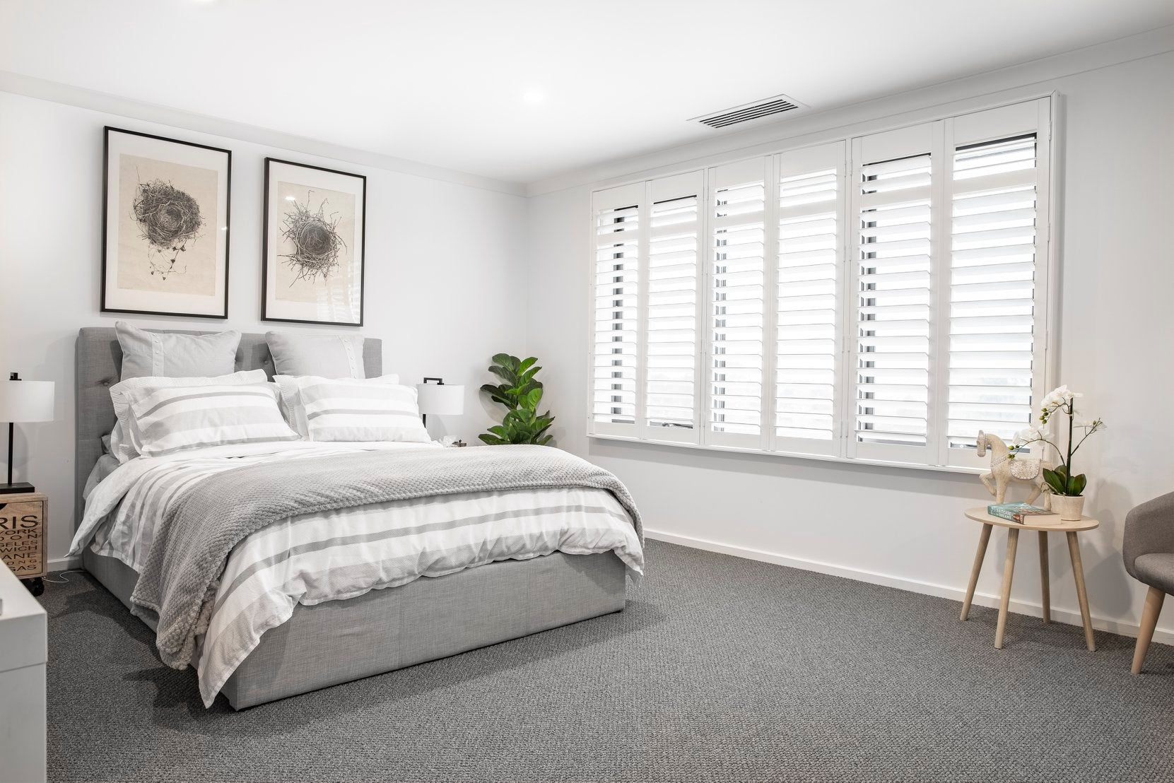 White Shutters