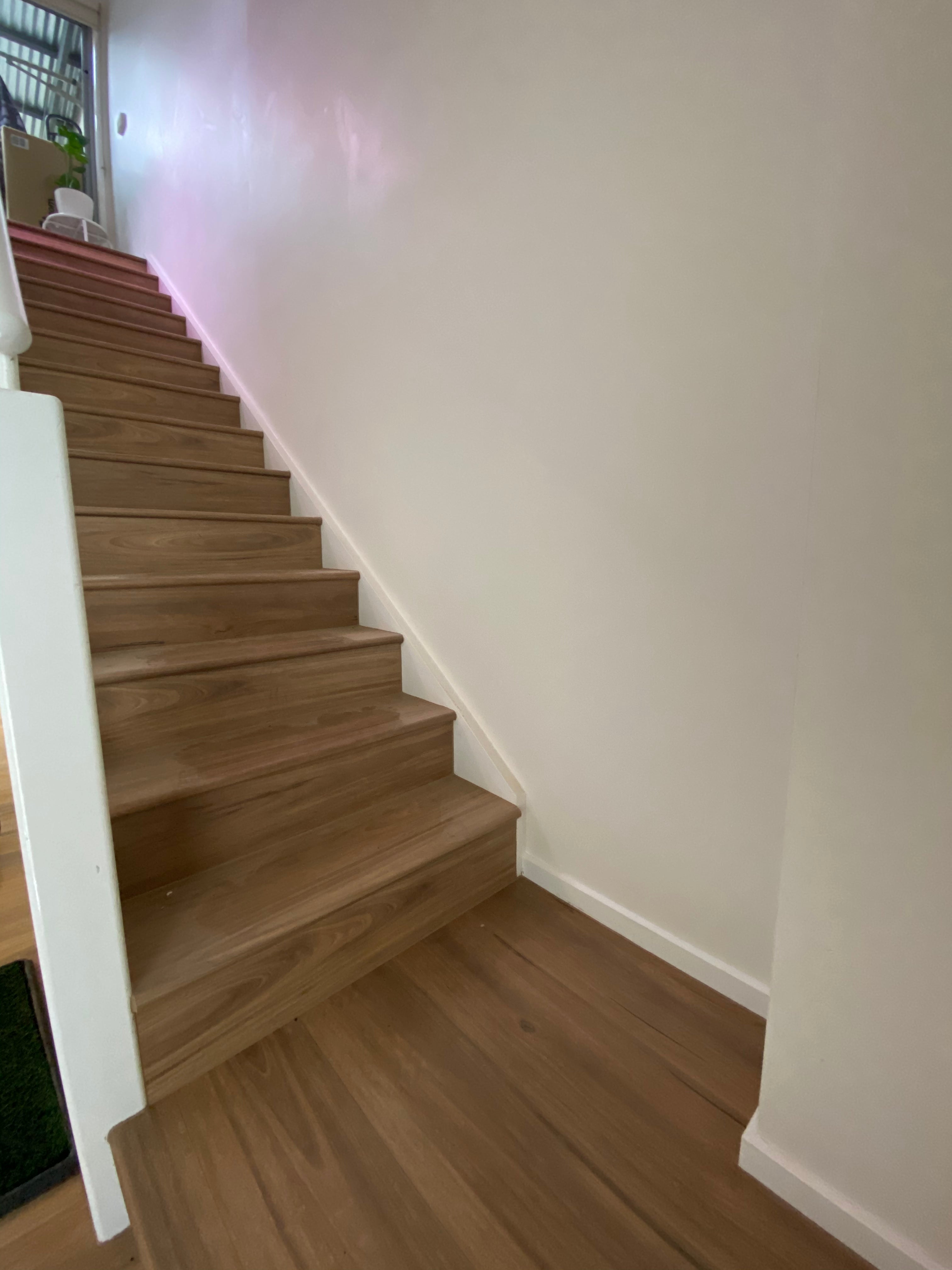 Spotted Gum Laminate Flooring