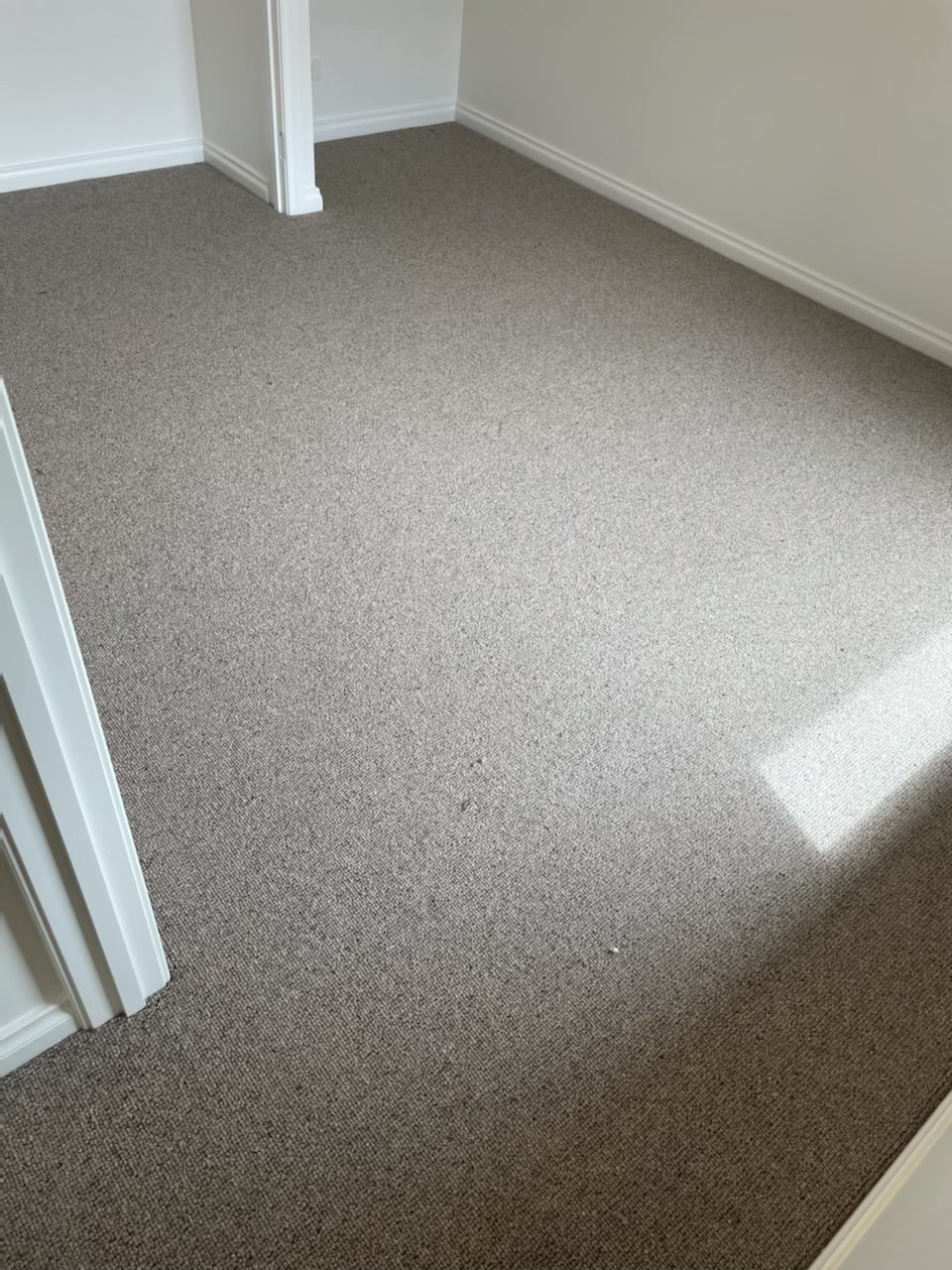Elmview Wool Loop