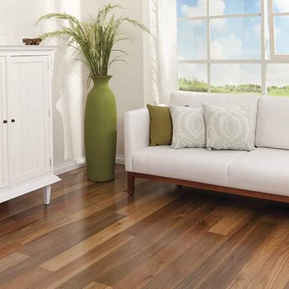 Spotted Gum - Eastern Flooring Centre